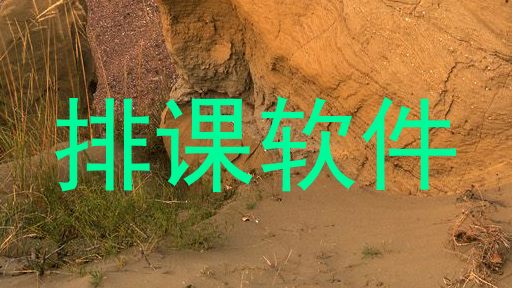 排课软件