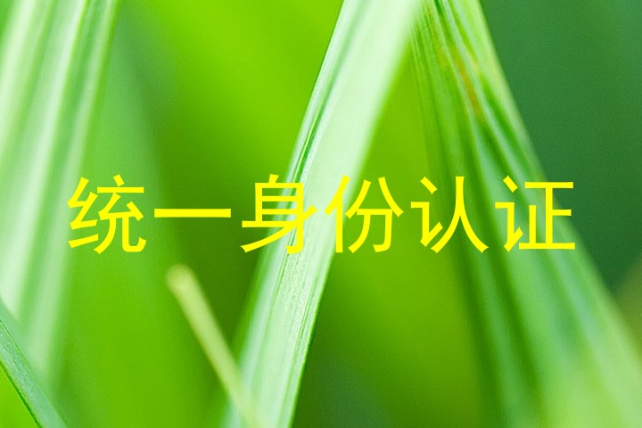 统一身份认证