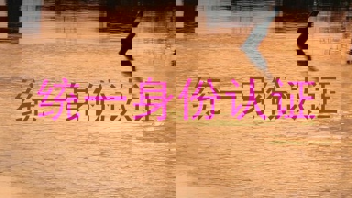 统一身份认证