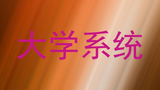 大学系统