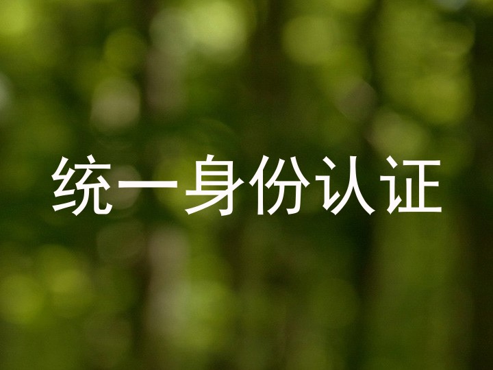 统一身份认证