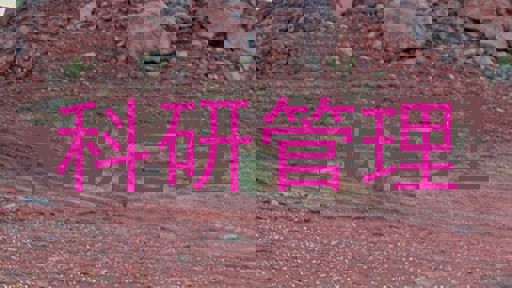 科研管理