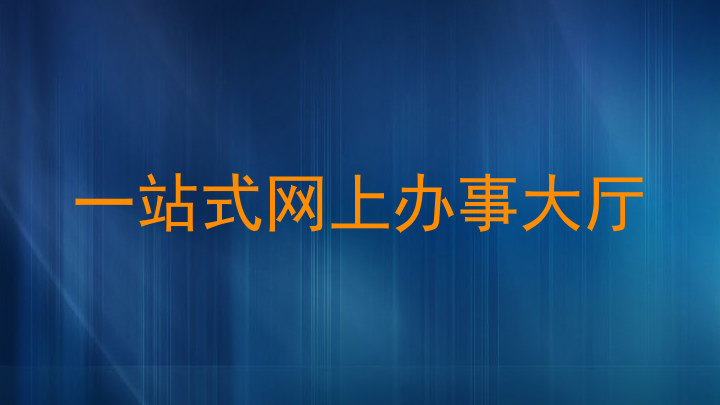 一站式网上办事大厅