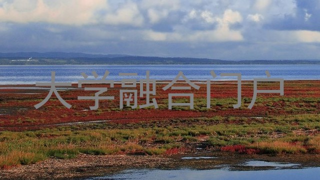 大学融合门户
