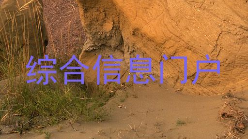 综合信息门户