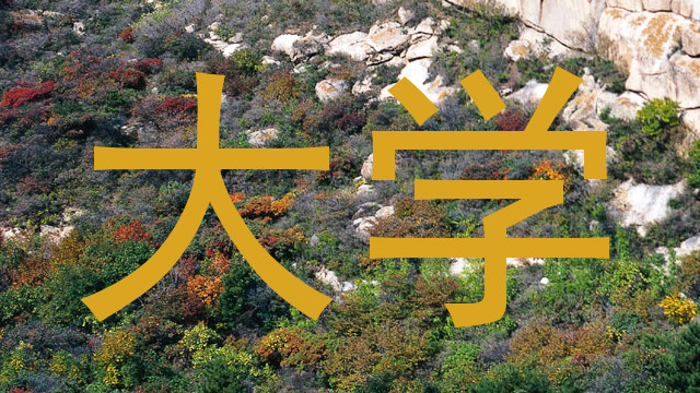 大学