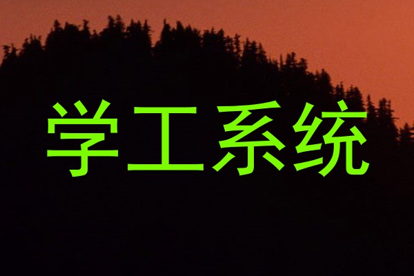 学工系统