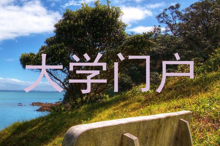 大学门户