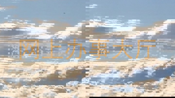 网上办事大厅