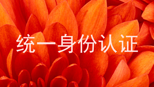 统一身份认证