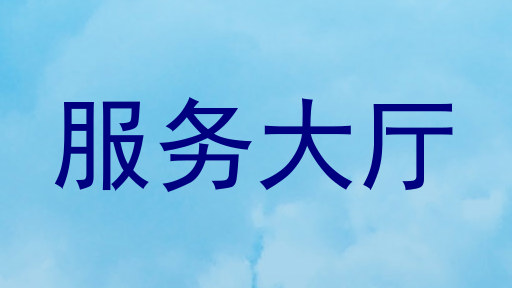 服务大厅