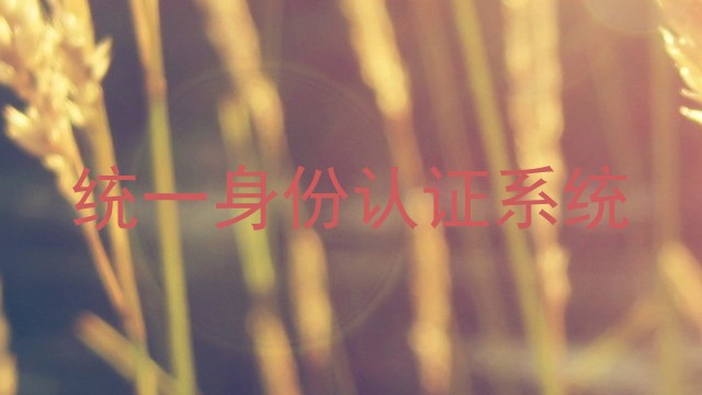 统一身份认证系统