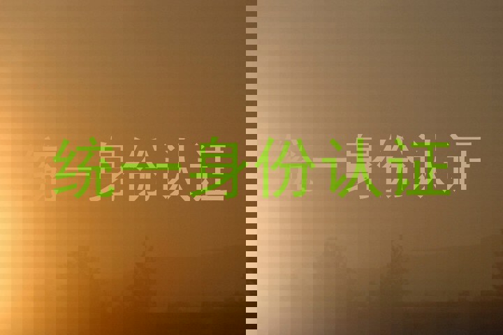 统一身份认证