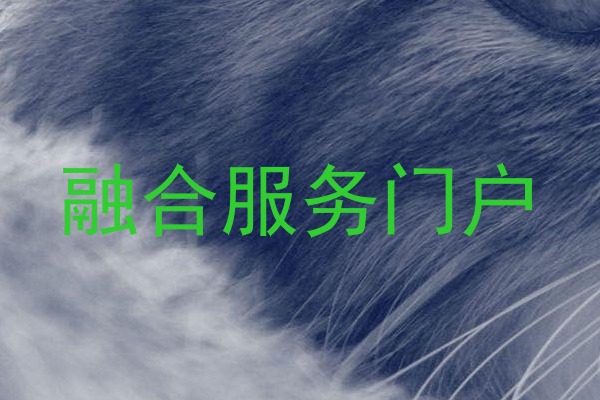 融合服务门户