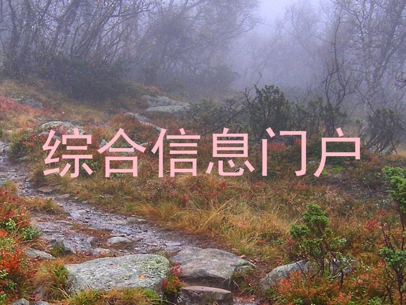 综合信息门户