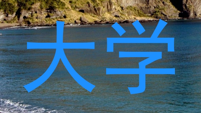 大学