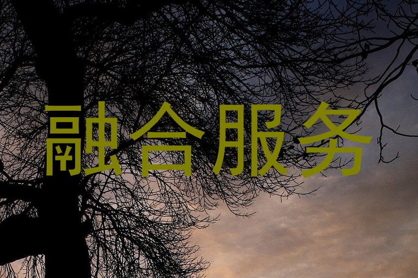 融合服务
