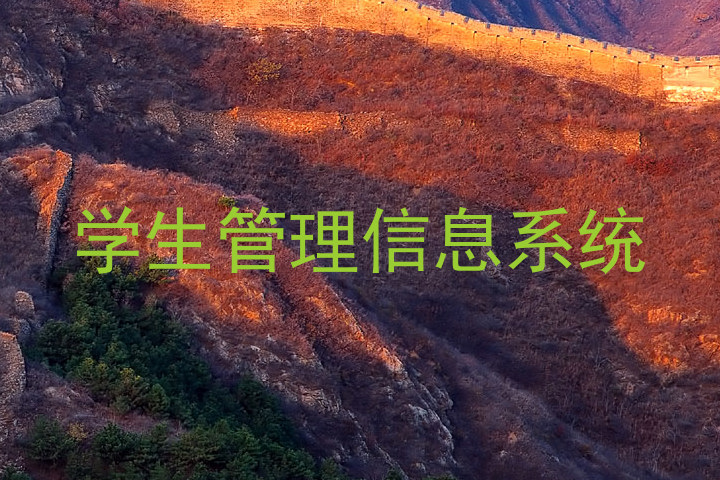 学生管理信息系统