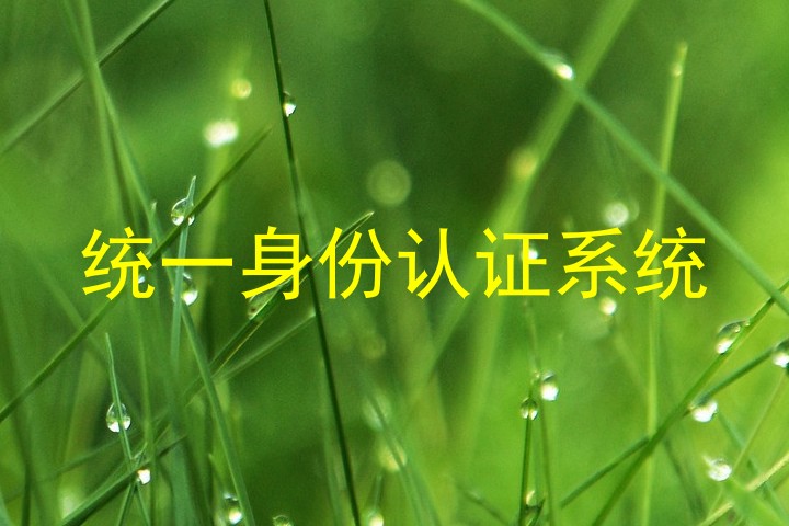 统一身份认证系统
