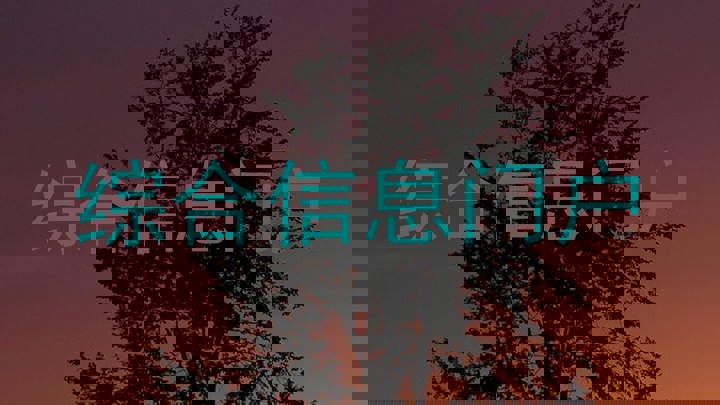 综合信息门户