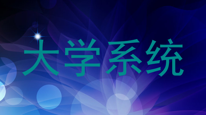 大学系统