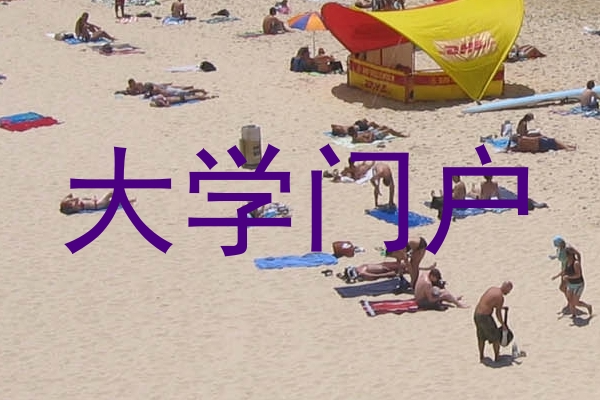 大学门户