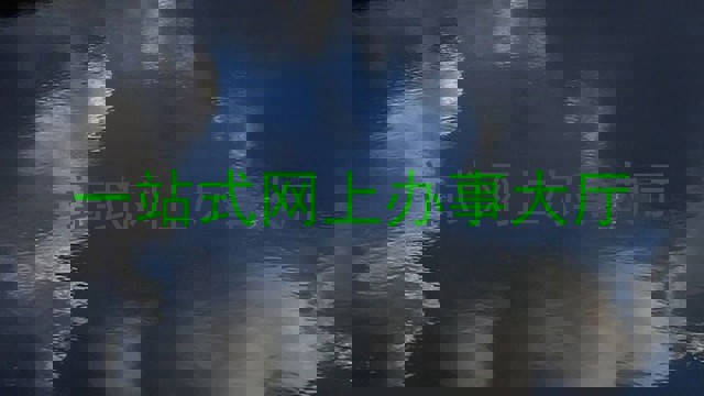 一站式网上办事大厅
