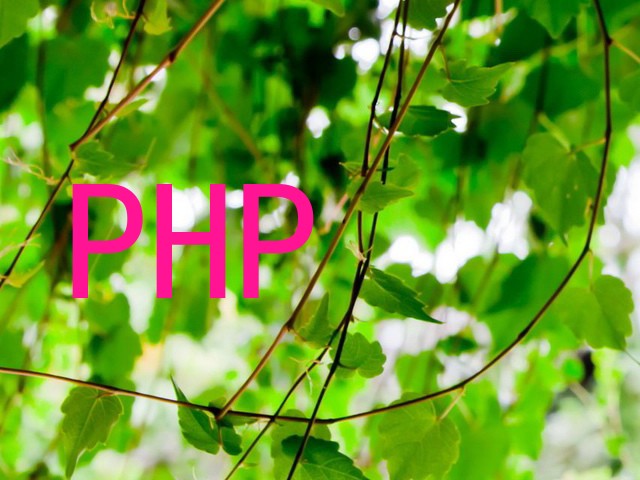 PHP