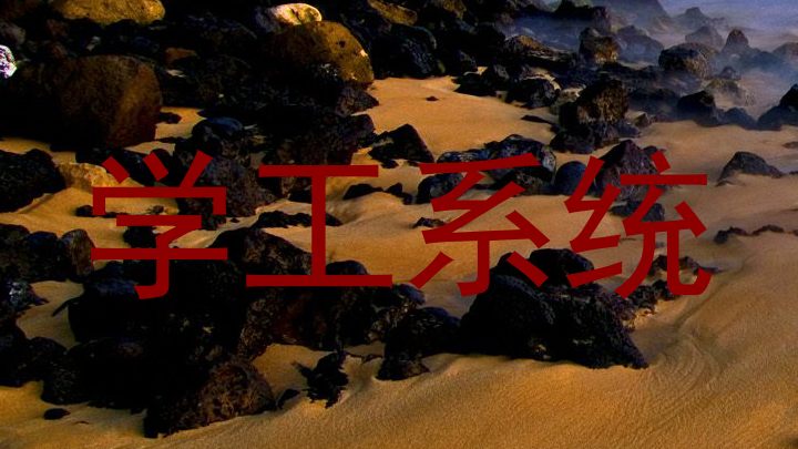学工系统