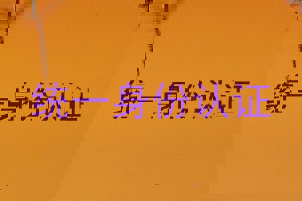 统一身份认证