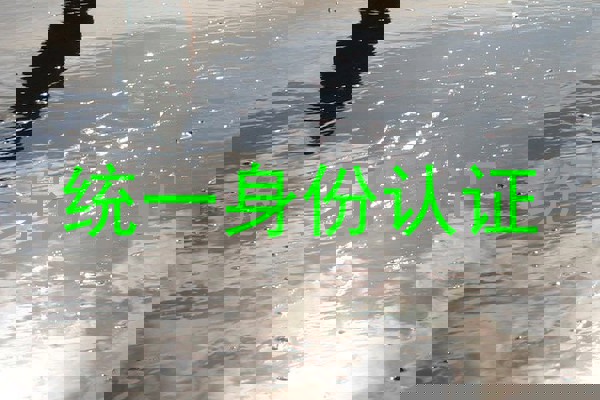 统一身份认证