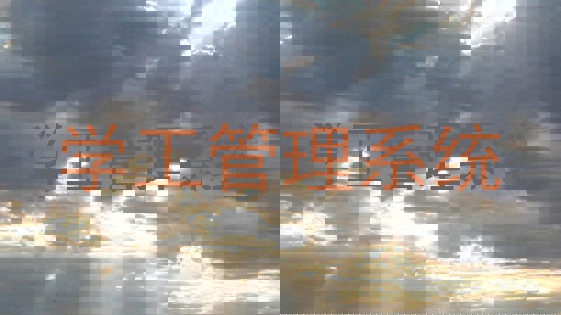学工管理系统