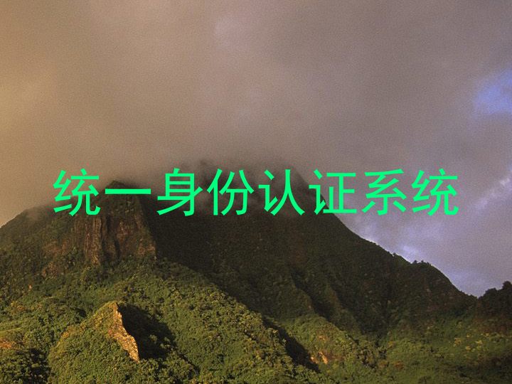 统一身份认证系统