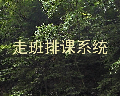 走班排课系统