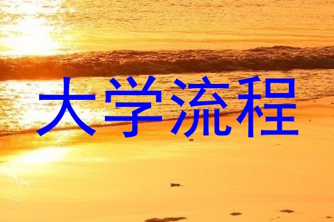 大学流程