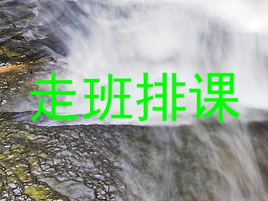 走班排课