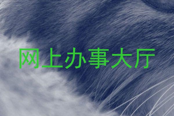 网上办事大厅