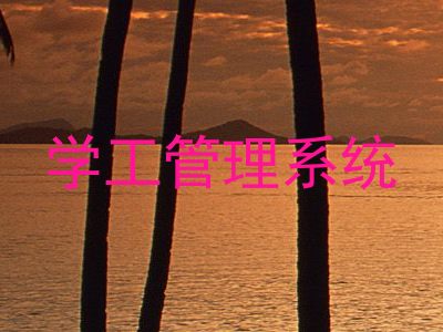学工管理系统