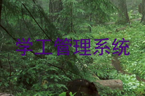 学工管理系统