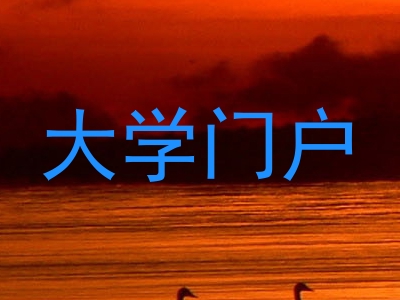 大学门户