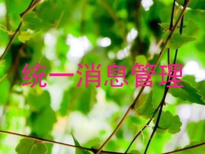统一消息管理