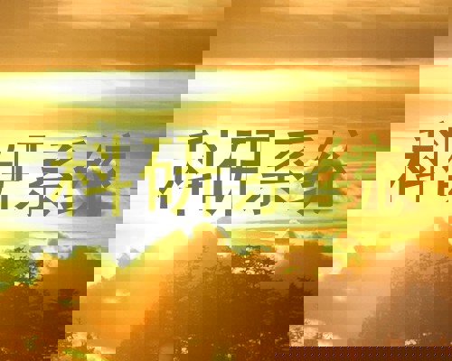 科研系统