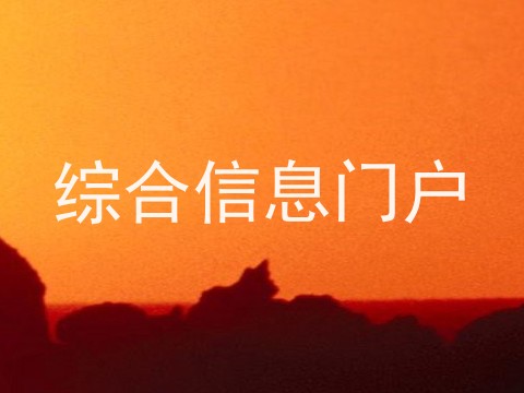综合信息门户