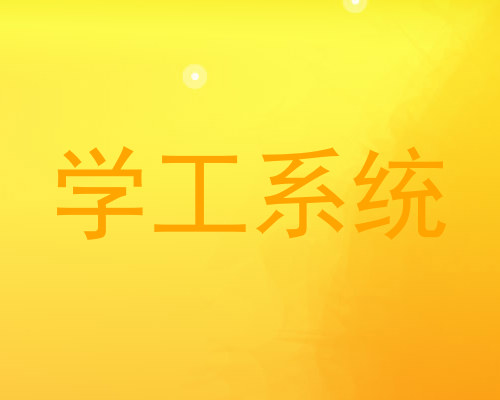 学工系统