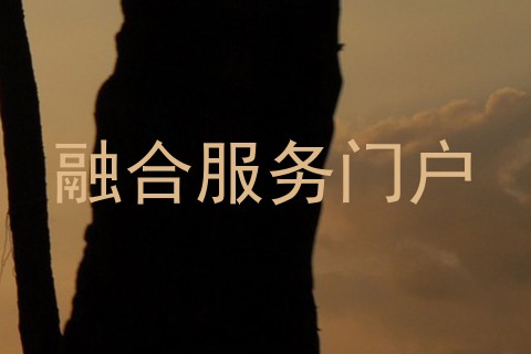 融合服务门户