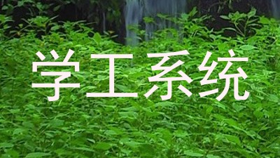学工系统