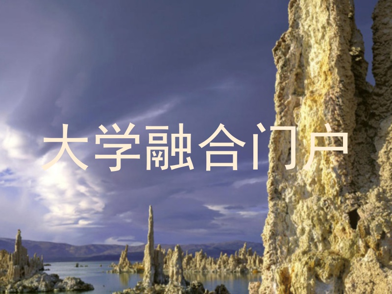 大学融合门户