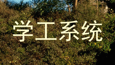 学工系统