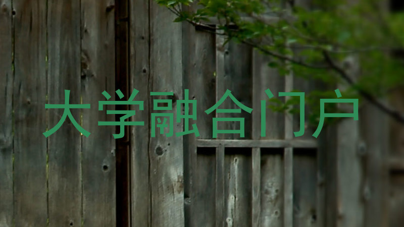 大学融合门户