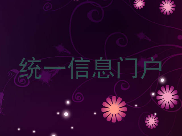 统一信息门户